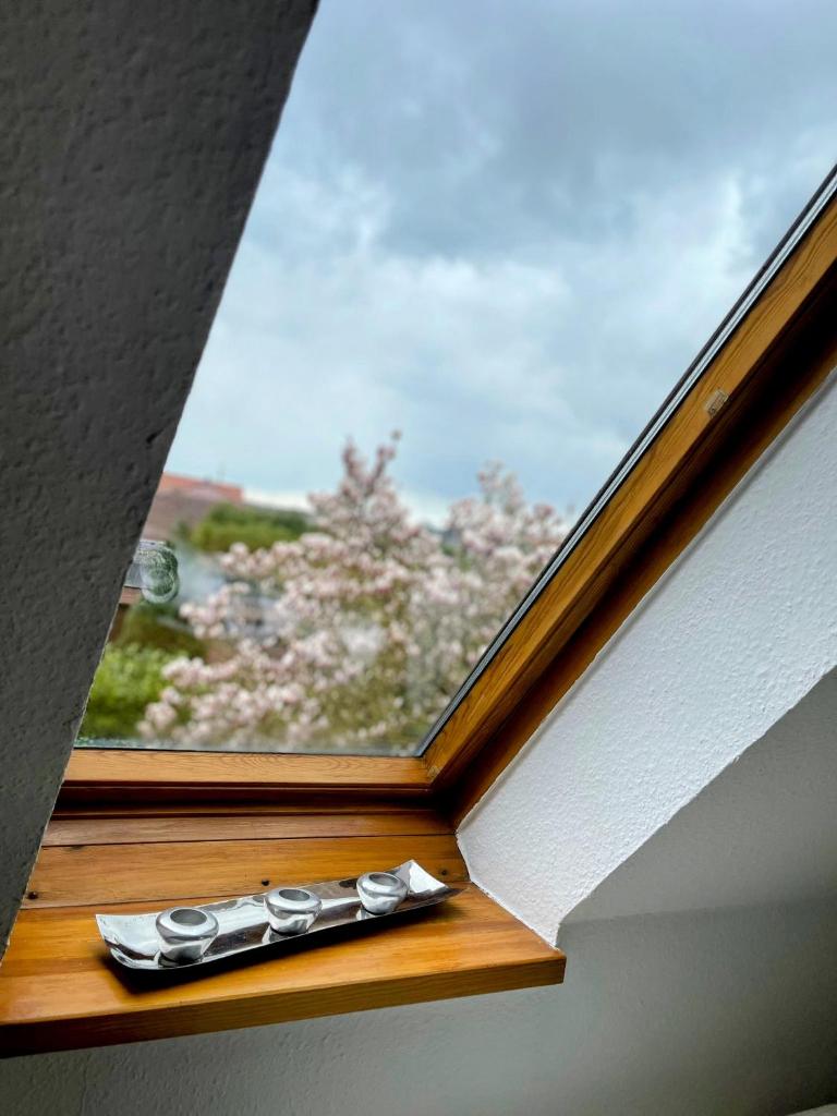 *To hus* Wohnung am Rande von Jever photo 3