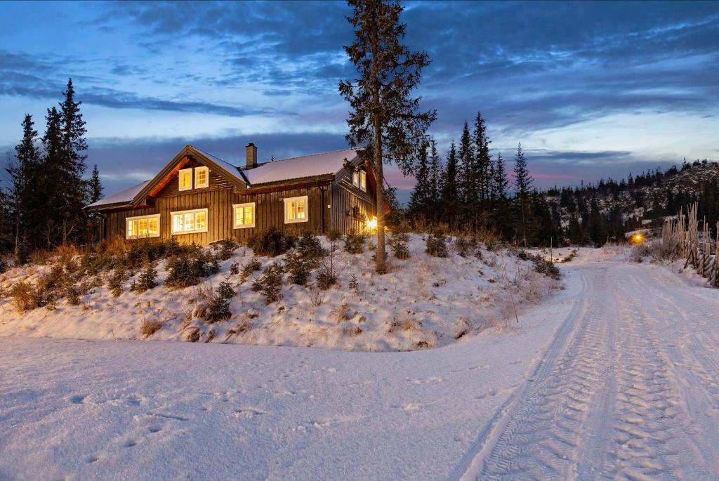 Skeikampen cabin with mountain view, jacuzzi, and 8 bedrooms photo 2