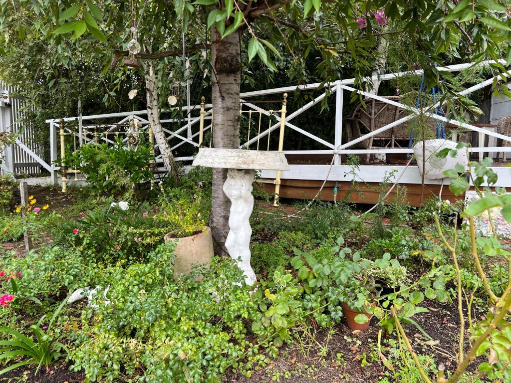 Ivy May Cottage photo 4