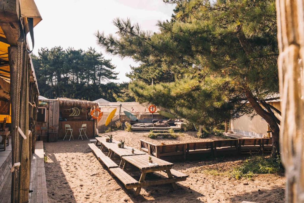 Surfana Beach Bed & Breakfast Bloemendaal photo 2