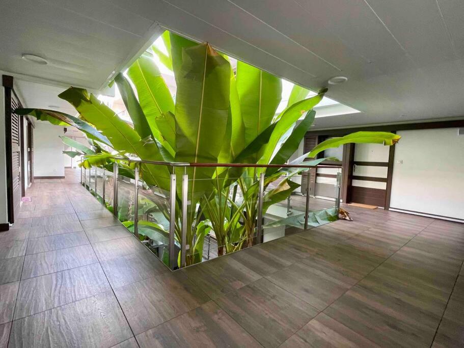 Superbe appartement, piscine, vue mer et montagnes photo 2