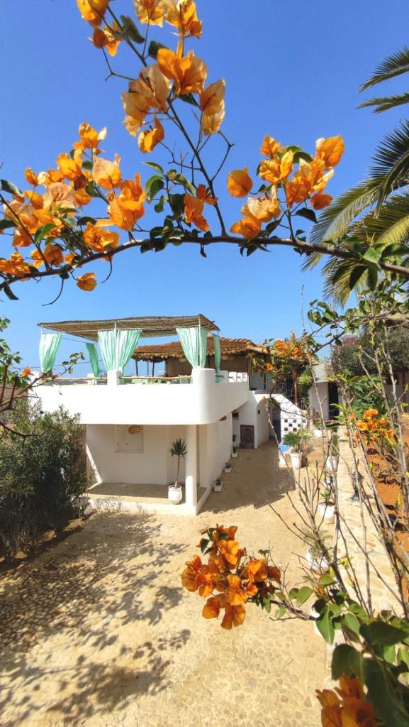 Maison d'hotes Berbari photo 1