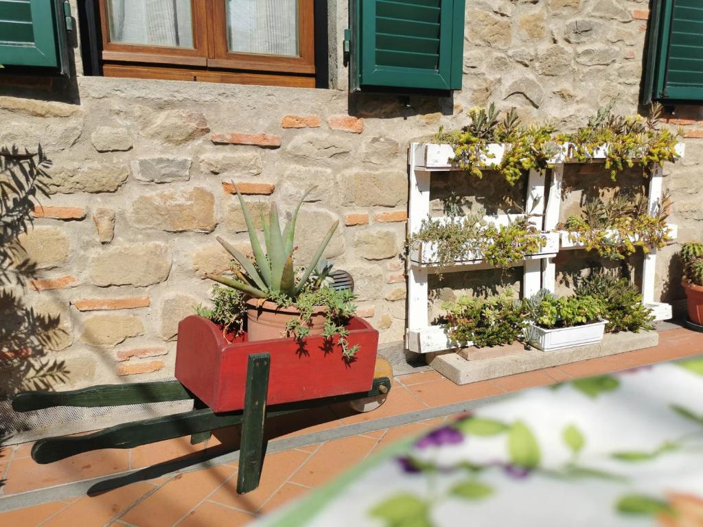 Casa Velia photo 2