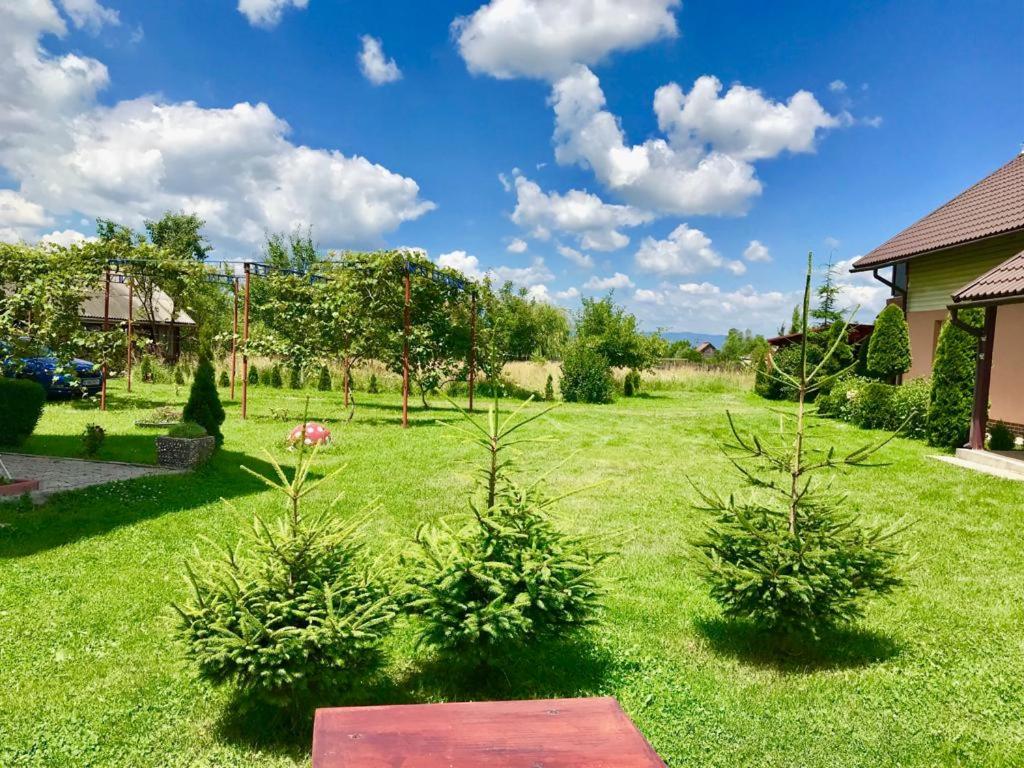 Casa Neagu photo 2