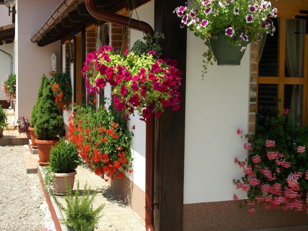 Bed & Breakfast Helena photo 1