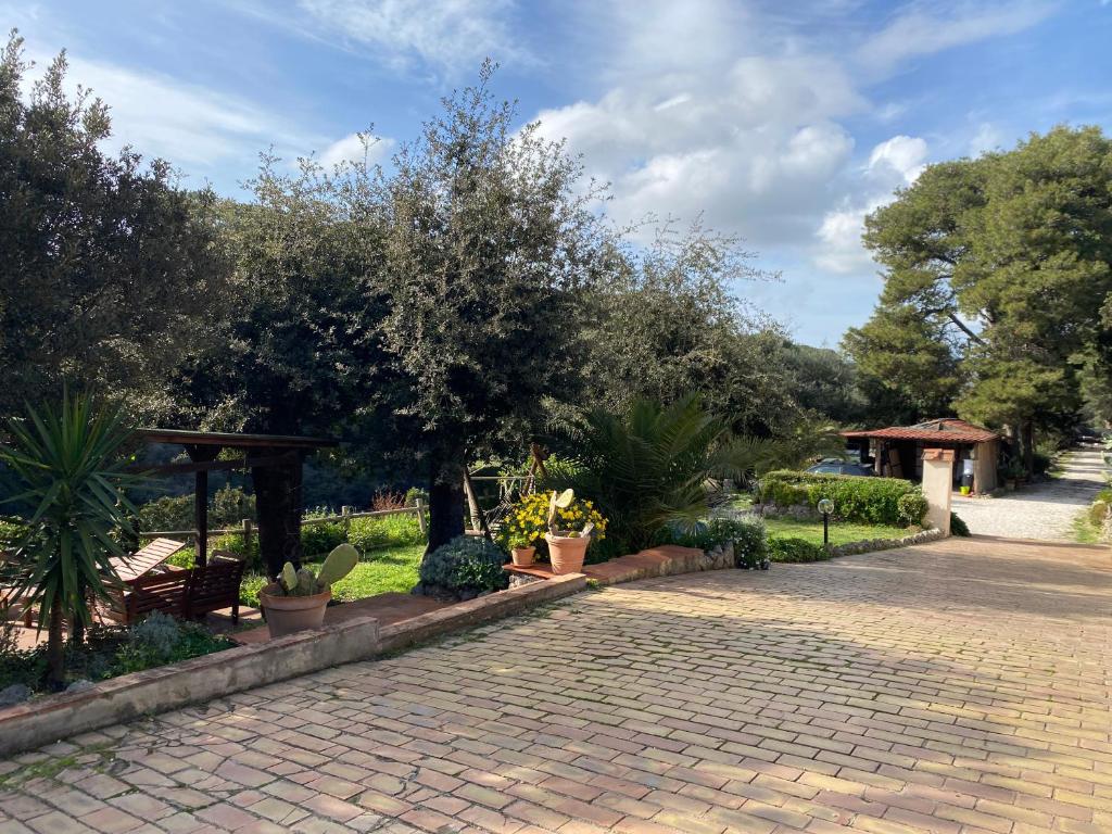 Villa Paradisino photo 2