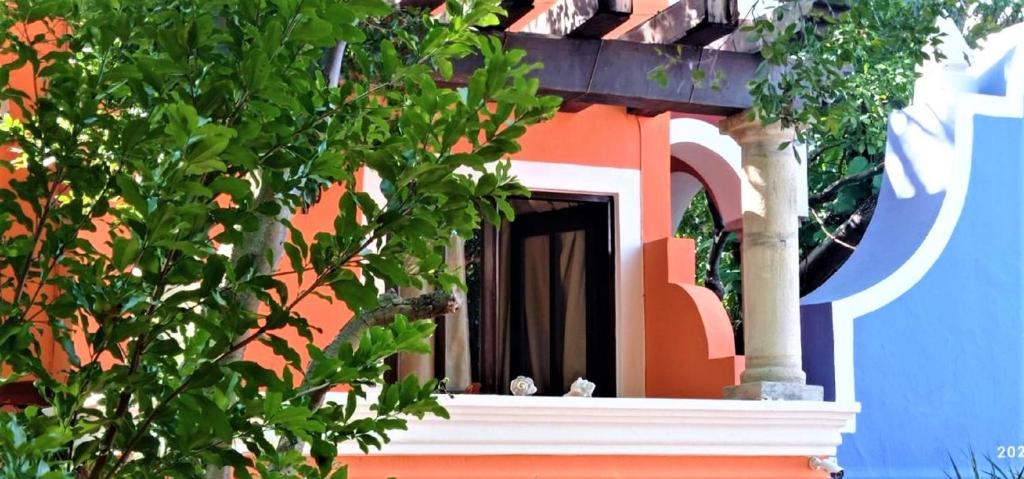 Hotel Casa De Las Flores - Tap to explore photos