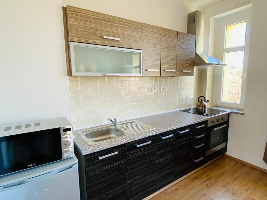 Apartmán Na Křížku 2+kk, Skiareál Klínovec 10minut photo 3
