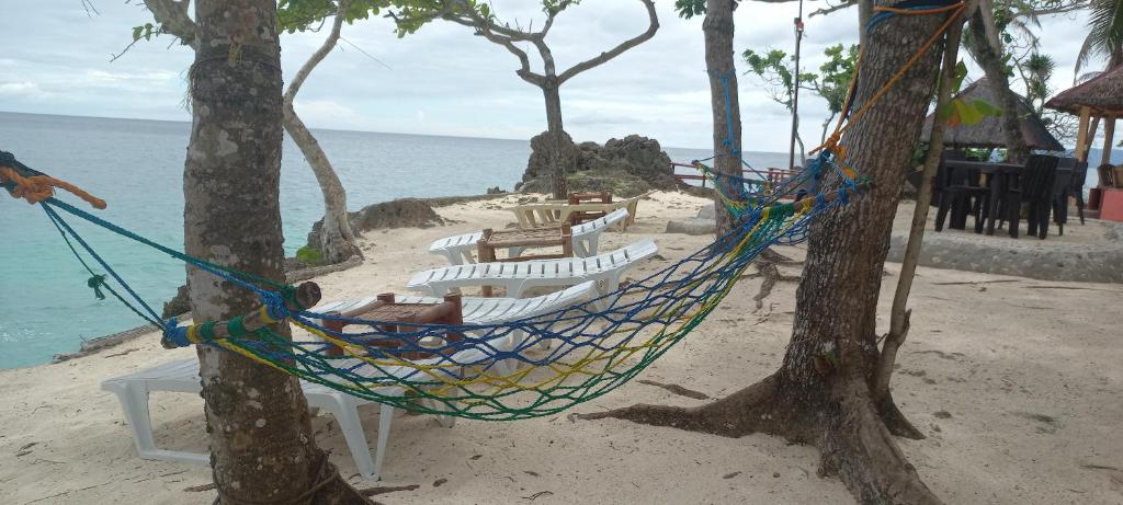 Anda Poseidon’s Beach Resort photo 3
