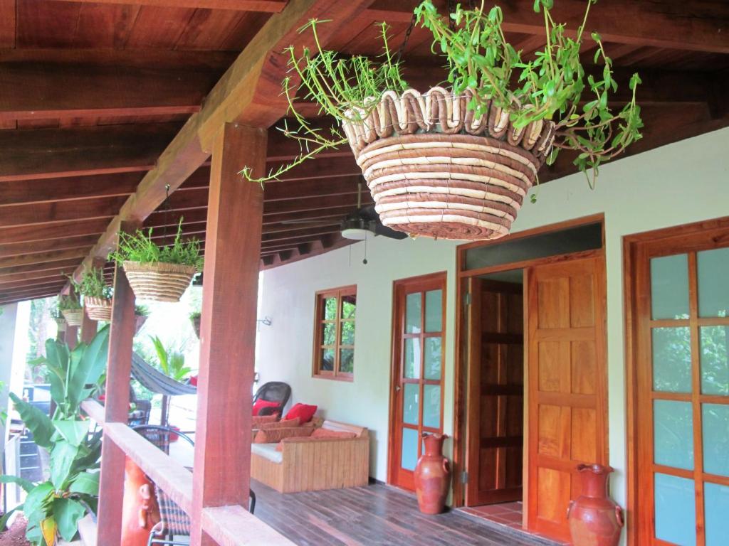 Hotel Iguanito photo 2