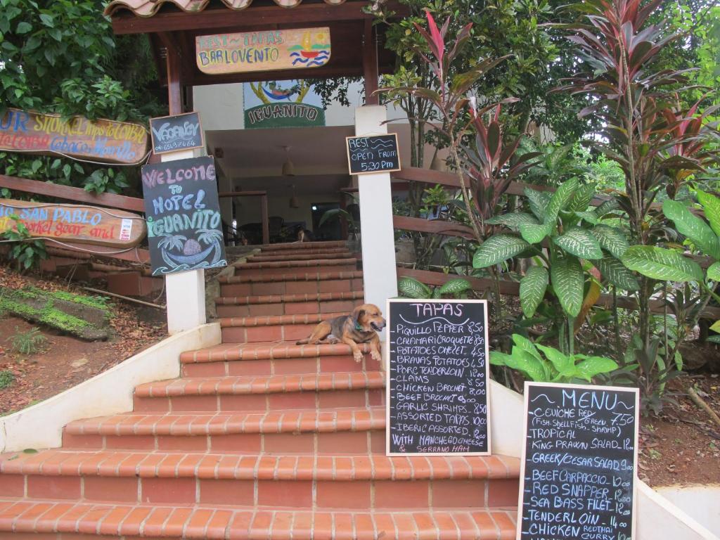Hotel Iguanito photo 1