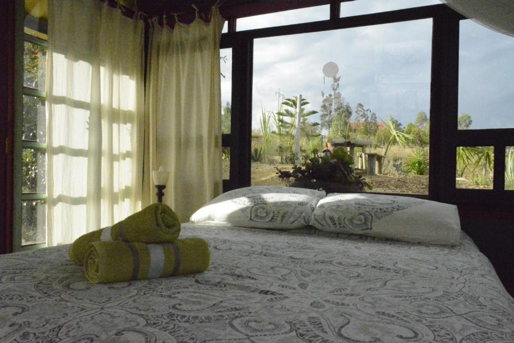 The Little Glass House photo 1