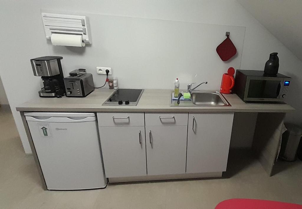 Studio-Apartment Braunschweig in Wolfenbüttel photo 3