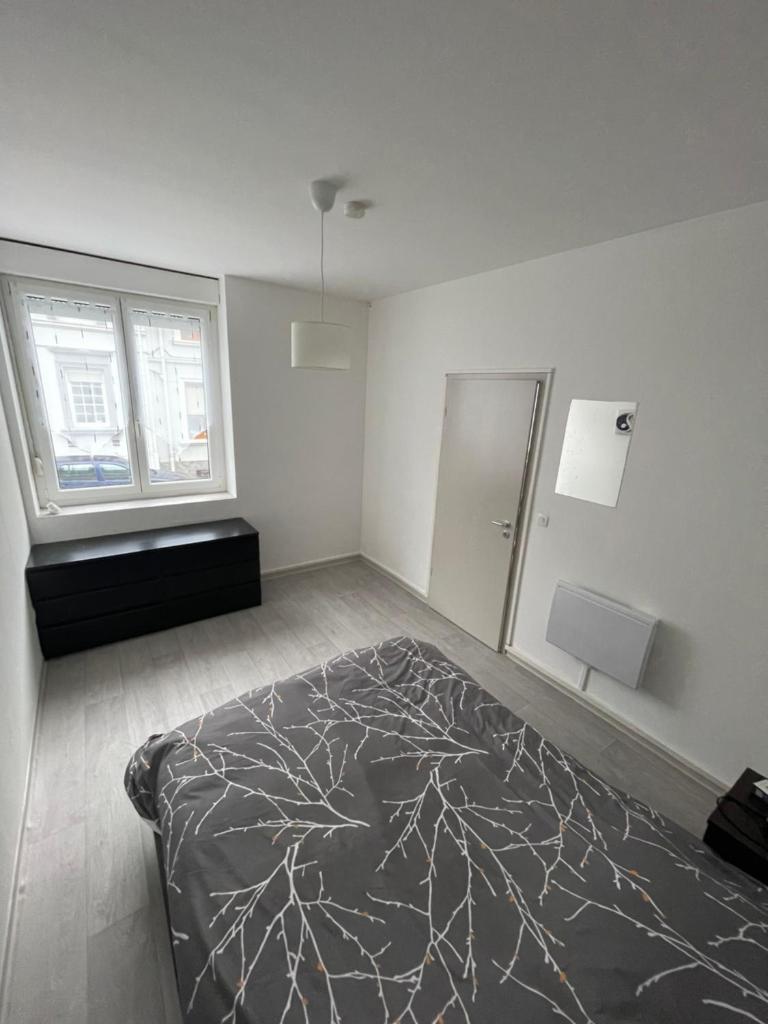 Superbe appartement rénové au centre de Forbach photo 4