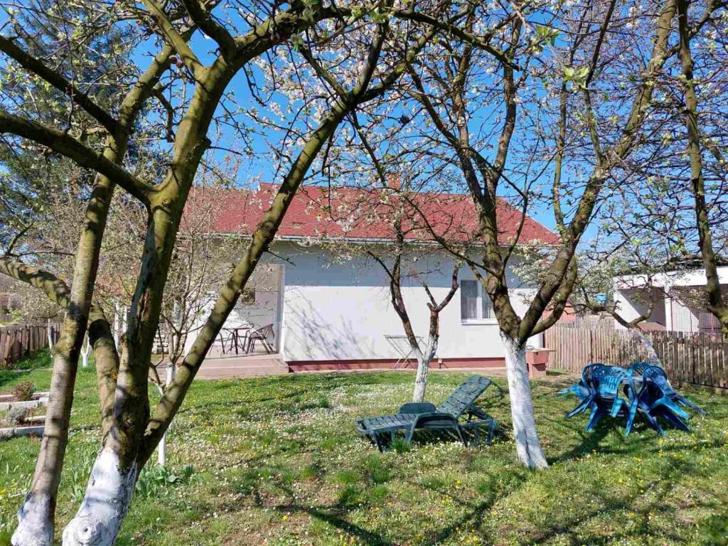 Apartman Dijelovi photo 3