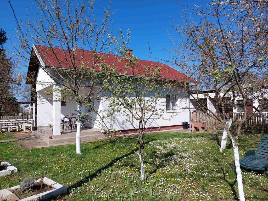Apartman Dijelovi photo 2