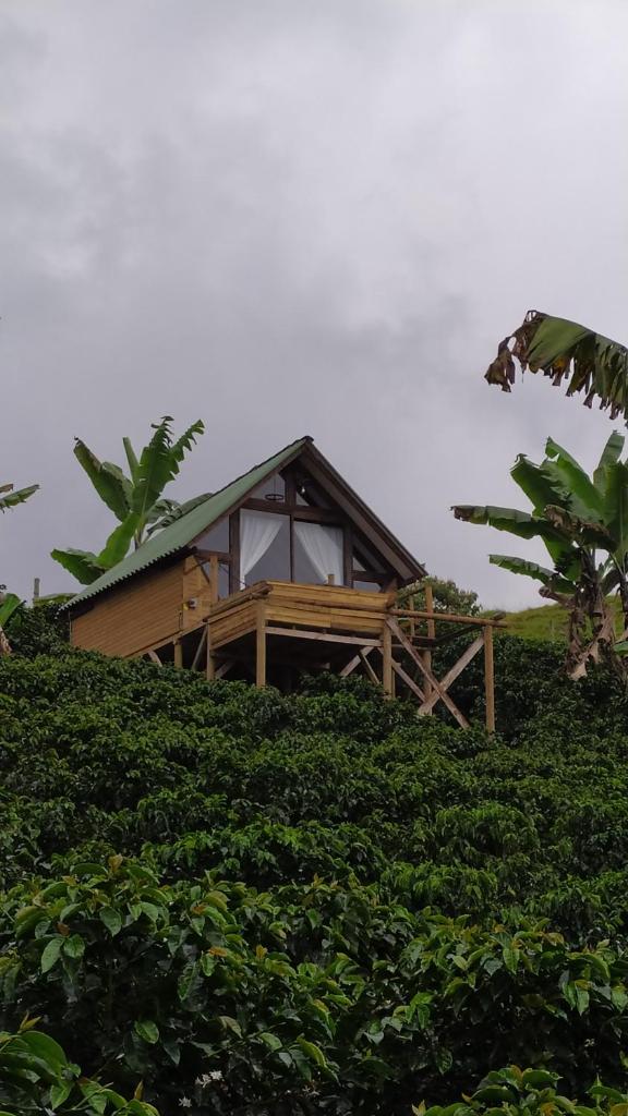 Glamping Jericó