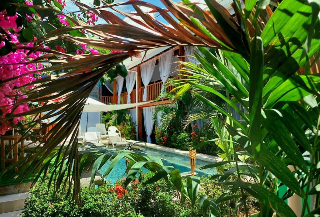 BellaVista Suites By Villas Verdes - Samara Beach photo 3