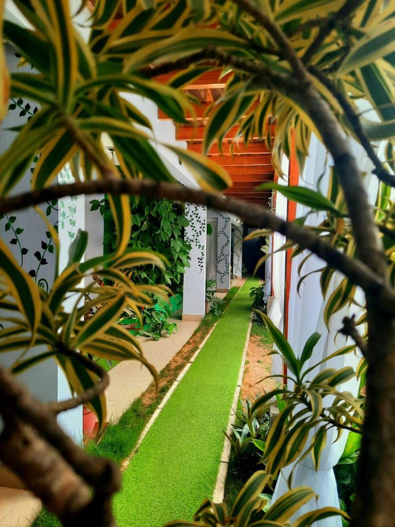 BellaVista Suites By Villas Verdes - Samara Beach photo 4