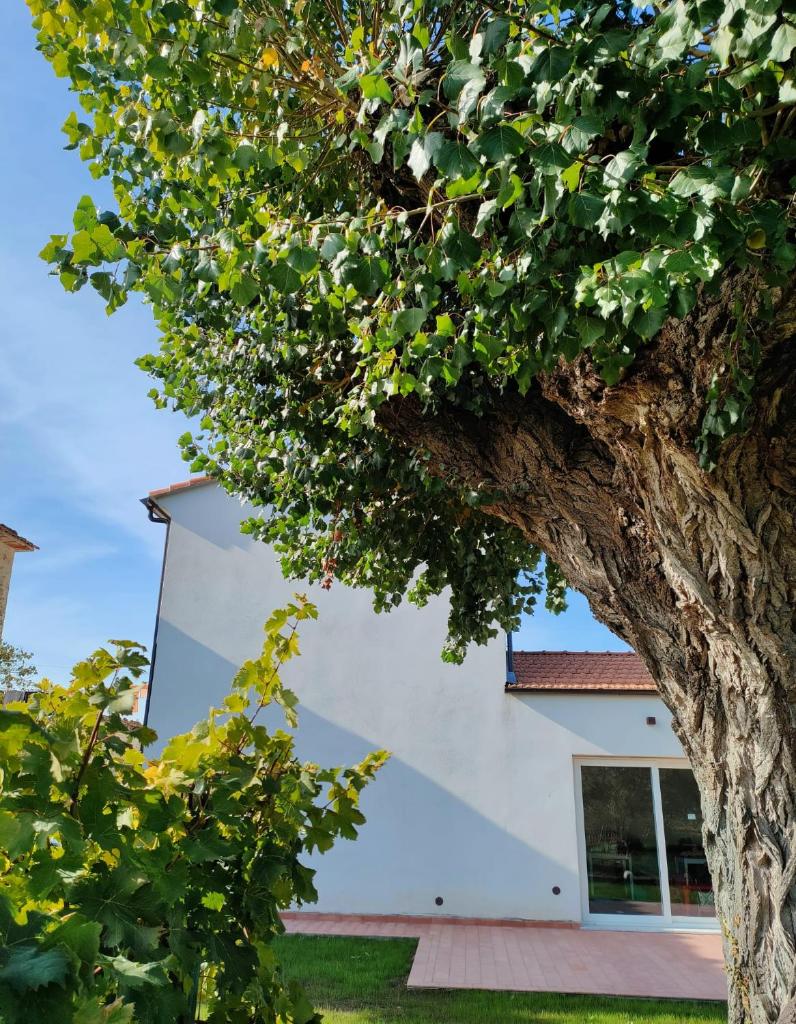 La Casa Vecchia Bed&Breakfast photo 3