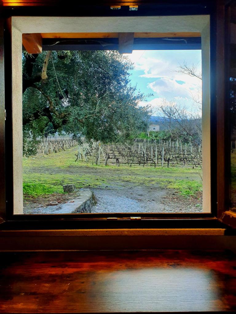 La finestra sul vigneto