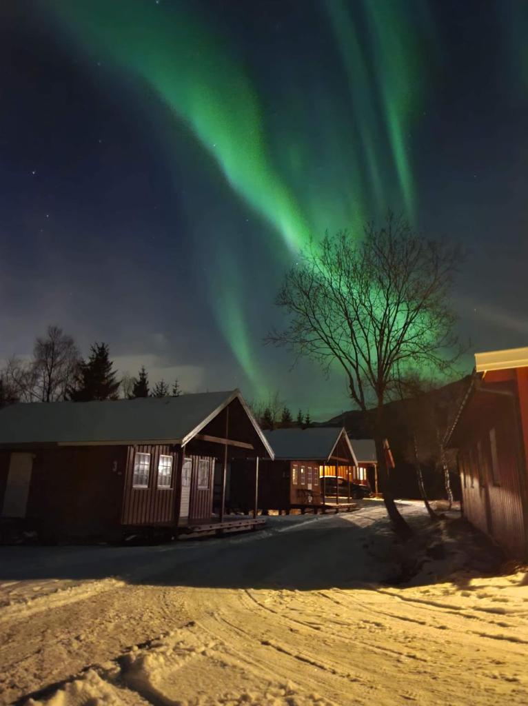 Lofoten Camp photo 1