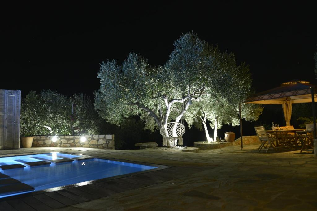 Guesthouse Bella Via photo 3