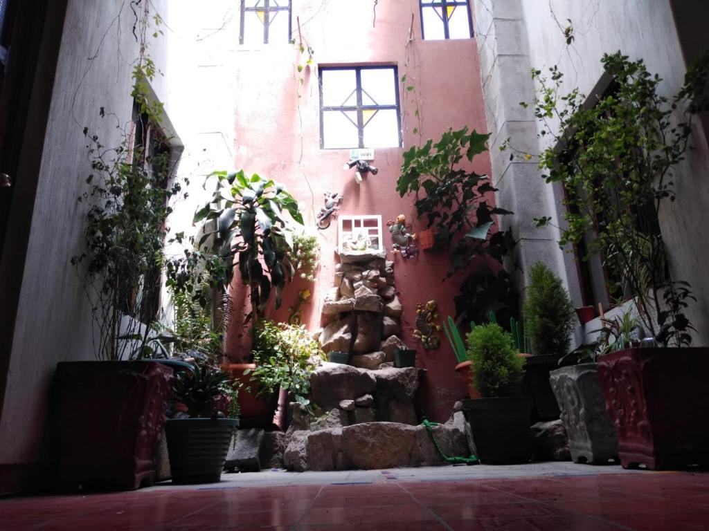Hotel Casolia photo 3
