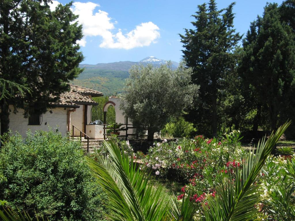 Villa VEDA photo 2