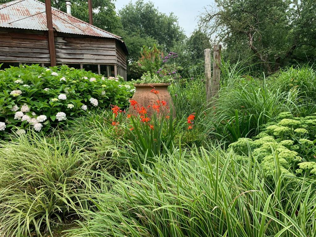 Atelier Onder de Notenboom photo 1