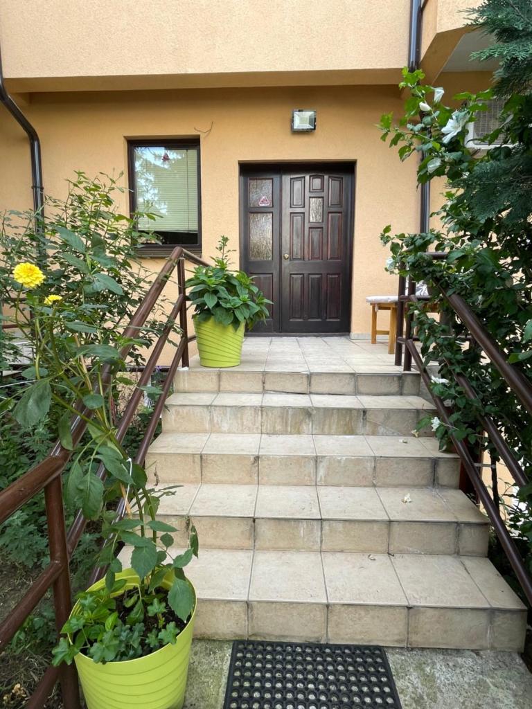 Huge Apartment with a Garden in the City Center photo 2