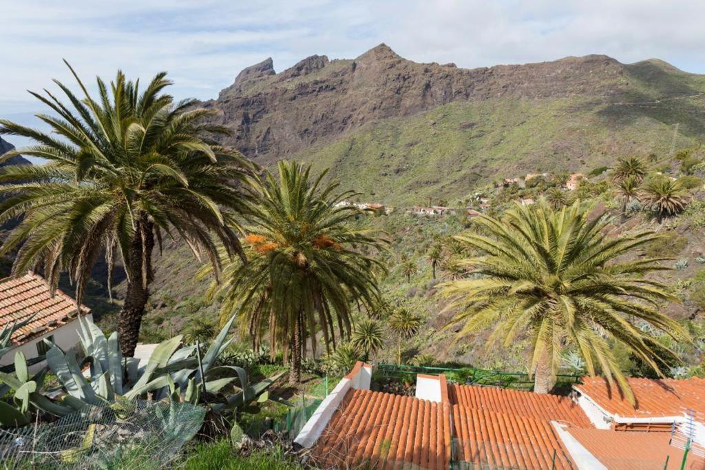 Traditional Canary Cottage in Masca photo 1