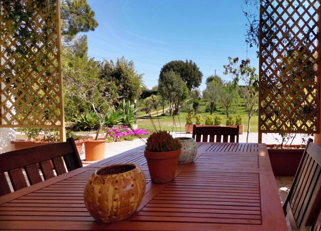 Home Garden photo 2