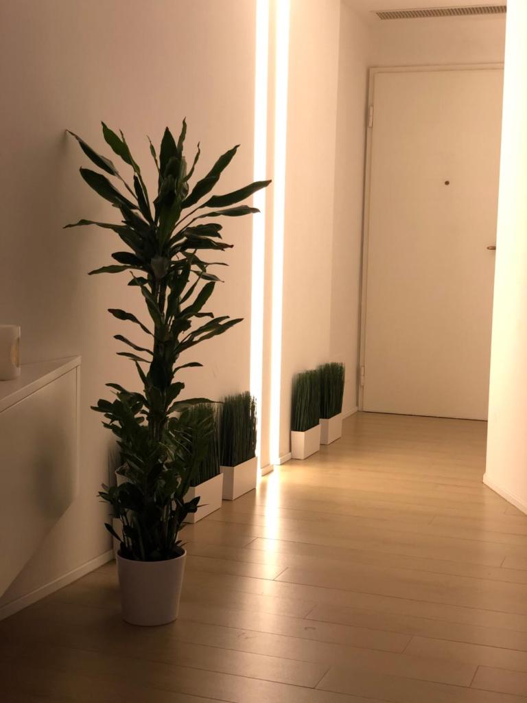 Lux Apartment in Historical Center of Palermo photo 3