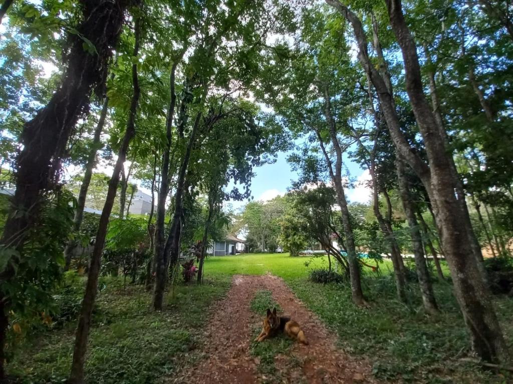 Parana Riverside Guest House - Posadas photo 1
