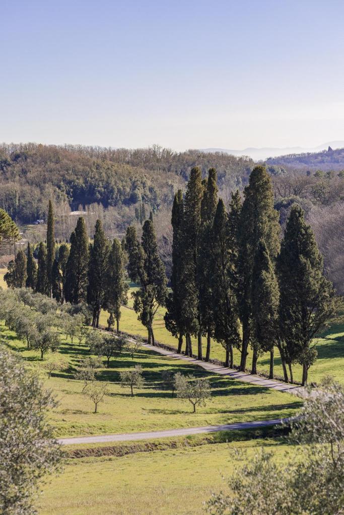 Rivo della Corte photo 2