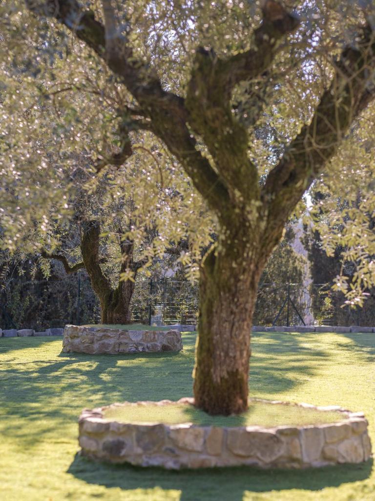 Rivo della Corte photo 4