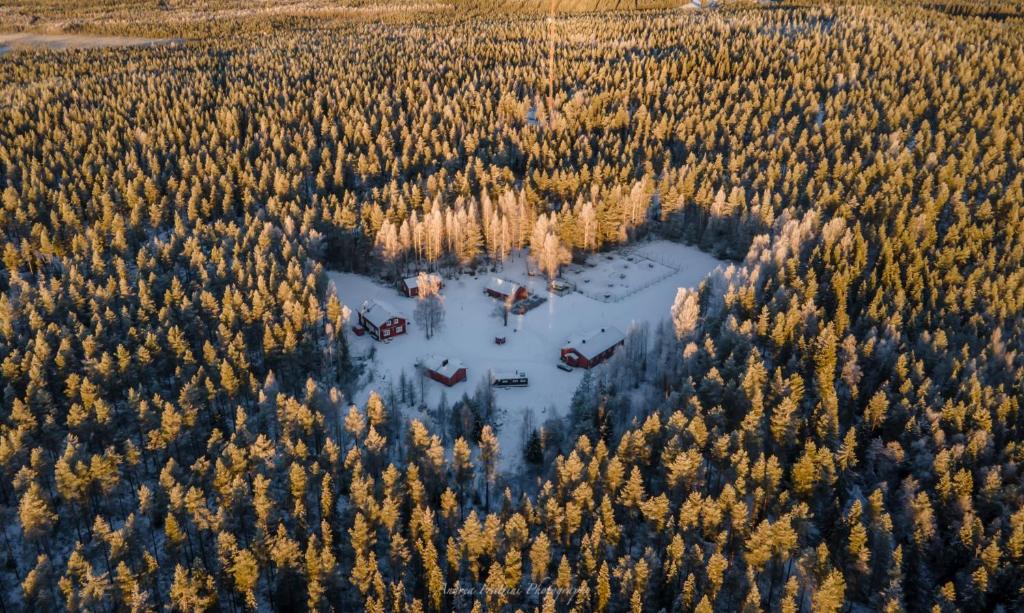 Old Pine Husky Lodge photo 3