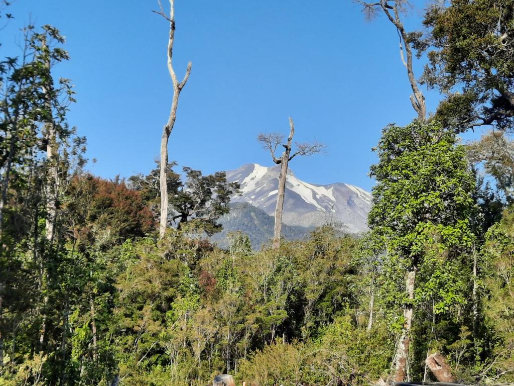 Pillang Likan tinas calientes, el poder del Volcan photo 1
