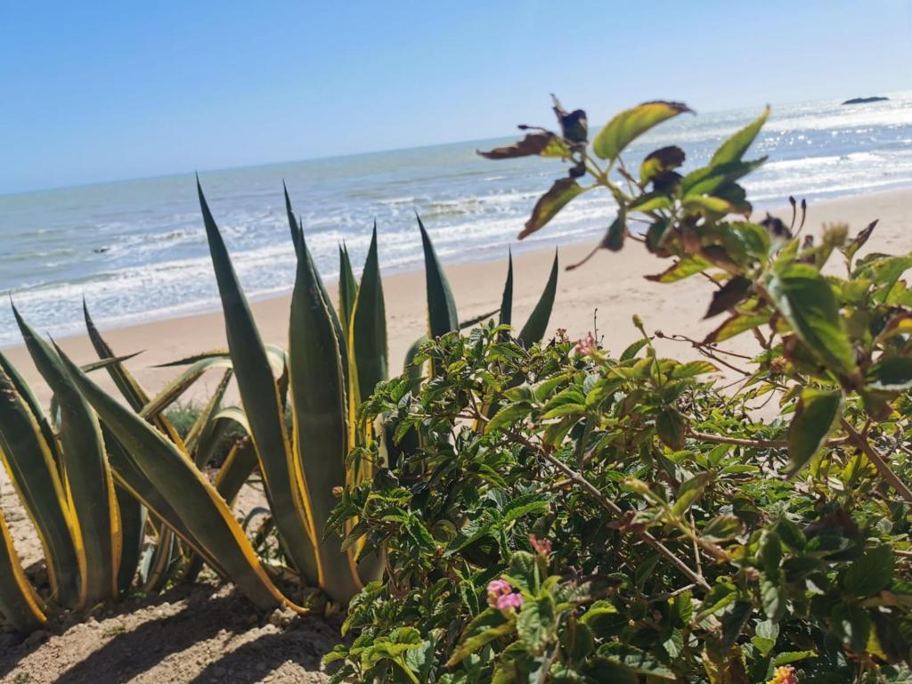 Giardino sul Mare photo 1
