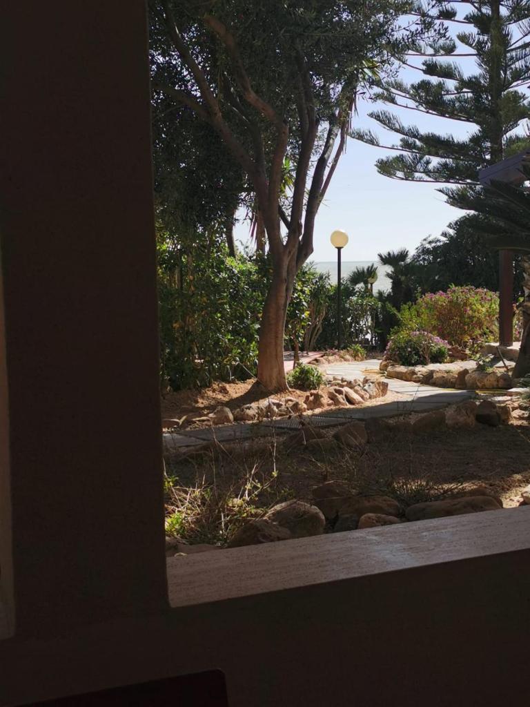Giardino sul Mare photo 4