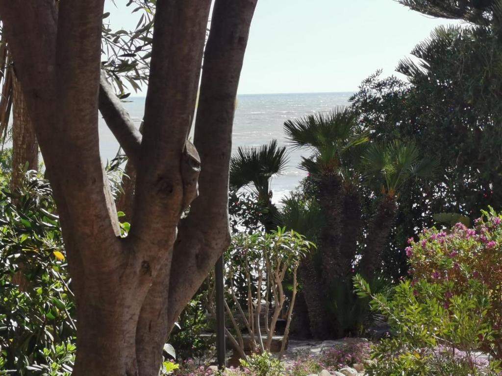 Giardino sul Mare photo 2
