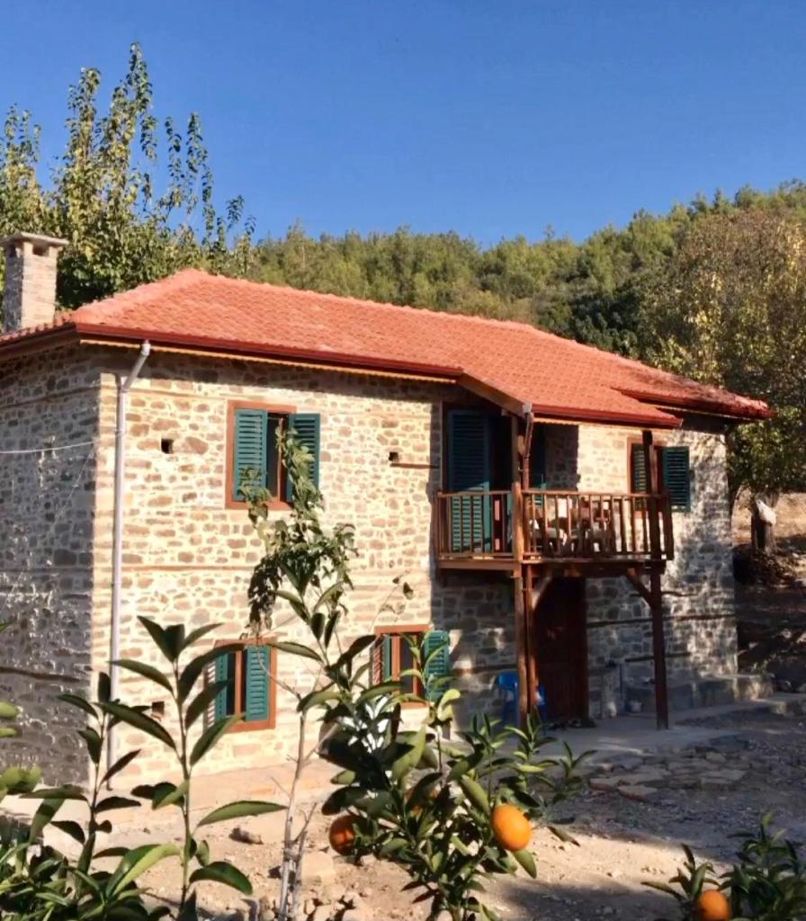Lovely house in the heart of nature photo 1