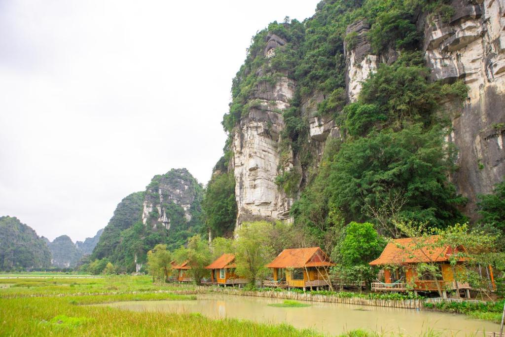 Lotus Field Homestay