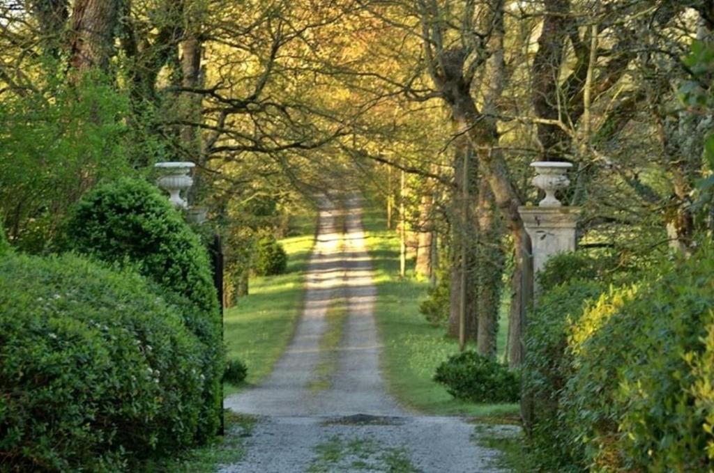 Domaine de la Vivarié photo 1
