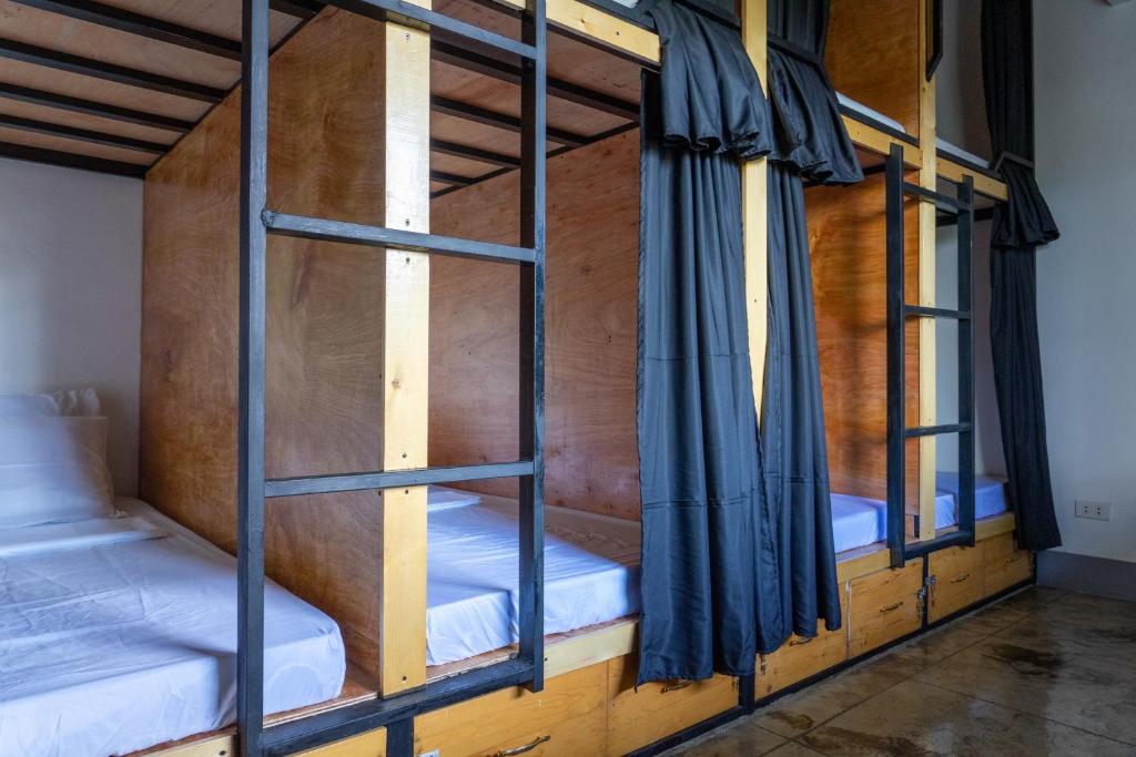 MOMO Hostel photo 4