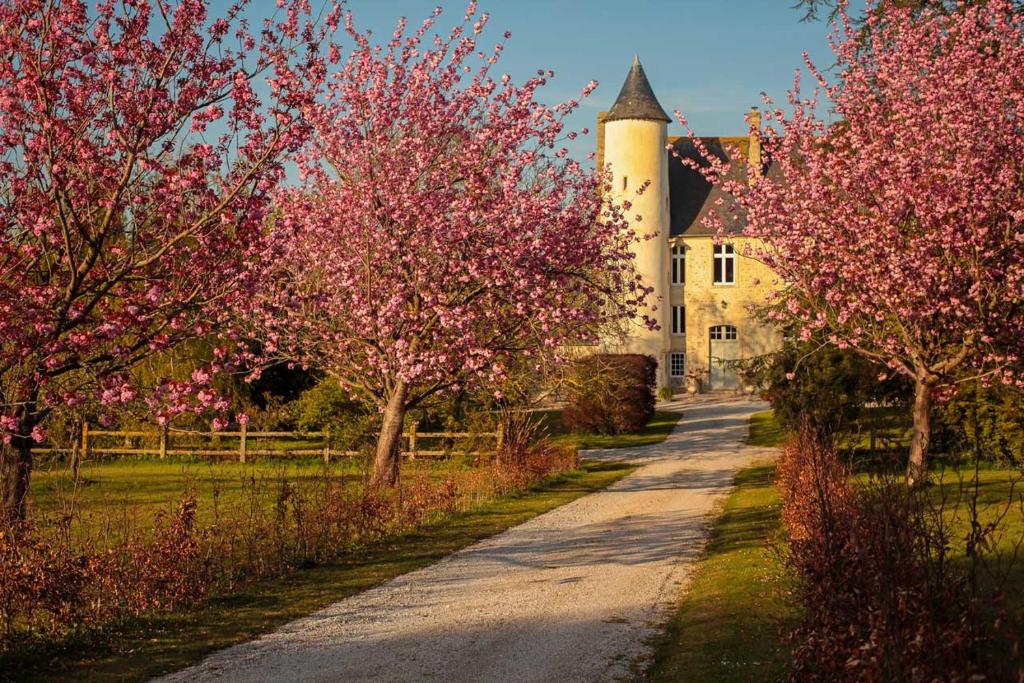 CHATEAU DE MONFREVILLE photo 2