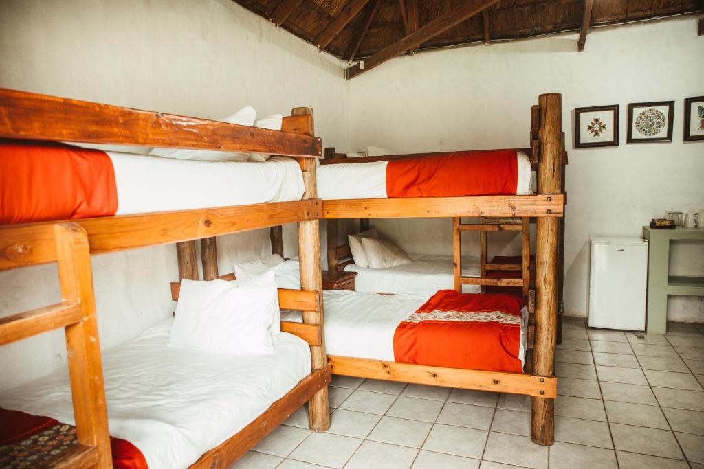 Amphitheatre Backpackers Lodge Room Type - 6-Bed Mixed Dormitory Room