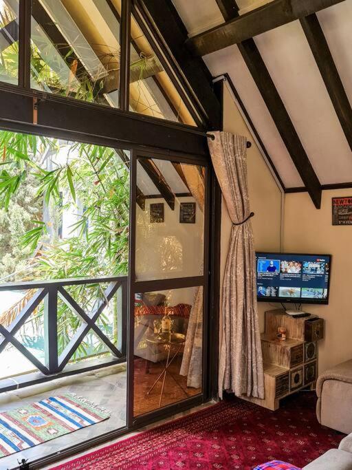 The Annex at 64 : Cozy, rustic cottage/treehouse photo 3