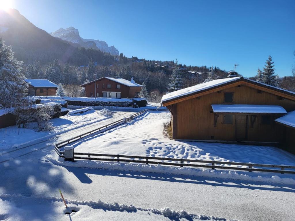 CHALET DES NEIGES photo 1